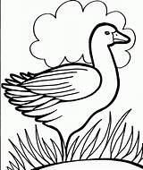 Coloring Pages Colouring Kids Duck Print Color Printable Drawing Duckling Dippy Bird Animal Getdrawings Use Search Clipart Bestcoloringpagesforkids Viewing sketch template