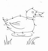 Dots Duck Connect Make sketch template