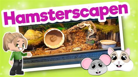 hamsterscaping verblijf nummer  youtube