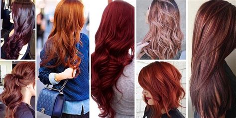 hair color  shades   types  beautiful hair