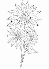 Girasole Girasoli Kolorowanka Druku Wazon Stampare Szablon Kolorowanki Dzieci Sunflowers Adulti sketch template