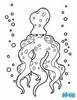 Octopus Coloring Pages Color Sea Animals Print sketch template