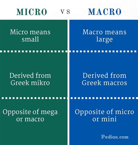 difference  micro  macro meaning usage examples
