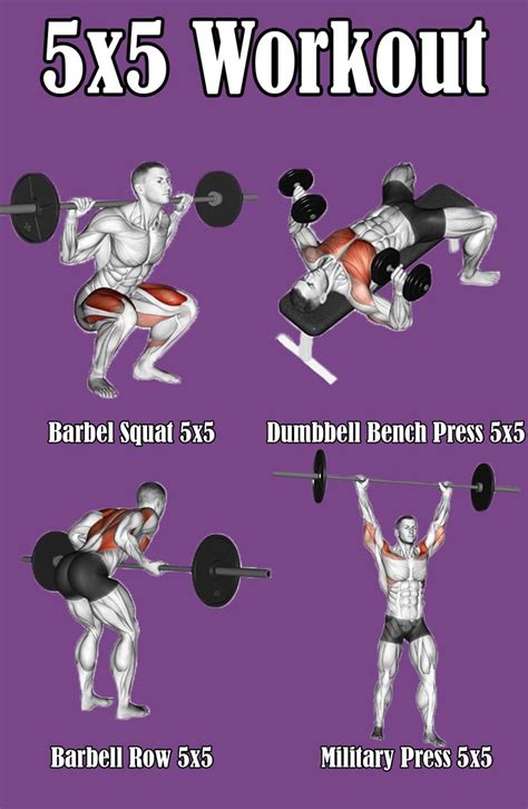 5x5 workout for men gym workouts for men workout