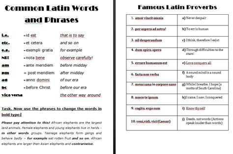 common latin words in english sex scenes in movies