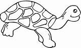Reptiles Reptile Coloring Pages sketch template