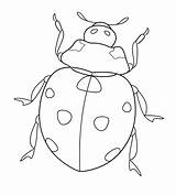 Ladybug Drawing Paintingvalley sketch template
