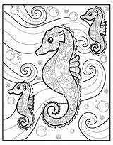 Coloring Zendoodle Macmillan Animals Baby Jeanette sketch template
