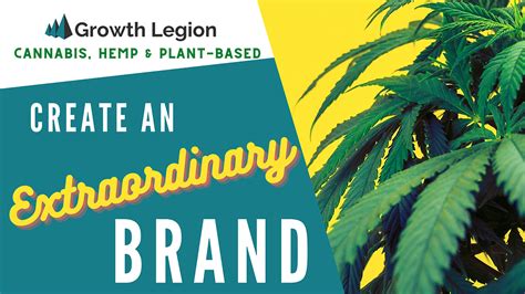 create  extraordinary brand canna hemp  plant based