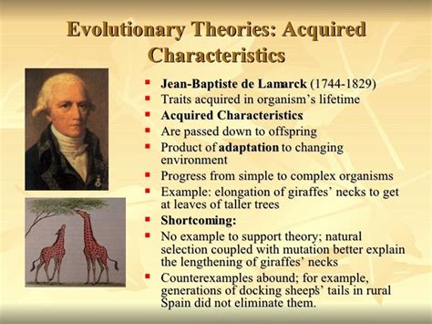 history of evolution