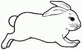 Rabbit Bunny Outline Coloring Pages Animal Template Drawing Colouring Templates Jumping Printable Rabbits Print Clipart Bunnies Cute Silhouette Easter Real sketch template