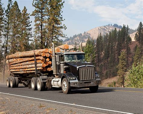 top  logging truck stock  pictures  images istock