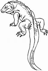 Lizard Coloring Pages Gecko Printable Reptile Kids Outline Print Color Long Salamander Colouring Sheets Drawing Tail Realistic Reptiles Template Lizards sketch template