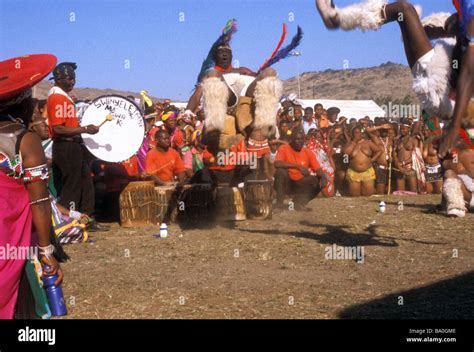 reed dance participant de cérémonie le kwa zulu natal afrique du sud