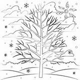 Winter Coloring Pages Tree Nature Trees sketch template