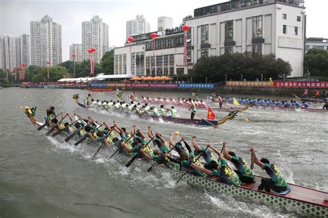 dragon boat races held   city shine news