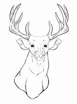 Coloring Deer Pages Head Printable Buck Mule Whitetail Animal Silhouette Drawing Antler Outline Adult Skull Kids Color Clip Mount Getcolorings sketch template