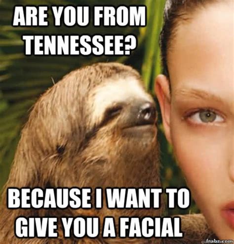 Funny Sloth Memes Are You From Tennessee Because I Want To Give You A