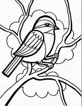 Coloring Bird Pages Freely Downloadable 321coloringpages Via sketch template