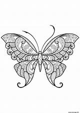 Coloriage Papillon Adulte Jolis Motifs Imprimer sketch template