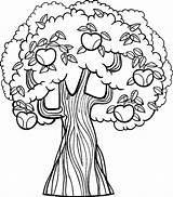 Apple Coloring Pages Orchard Getdrawings sketch template