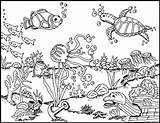 Seabed Coloring Pages sketch template