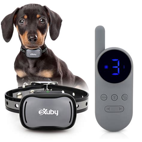 exuby tiny shock collar  small dogs  lbs  intensity levels