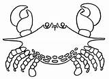 Crab Mewarnai Kepiting Crabe Crabes Animaux Coloriages Granchio Krab Kolorowanki Paud Tk Dzieci Coloradisegni Cangrejos Crustacean Berbagai Macam Aneka Temukan sketch template