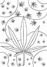 Coloring Weed Pages Psychedelic Printable Trippy Stoner Leaf Pot Drawings Marijuana Book Drawing Cannabis Adult Funny Awesome Cartoon Info Birijus sketch template