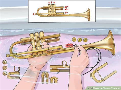 clean  trumpet  steps  pictures wikihow