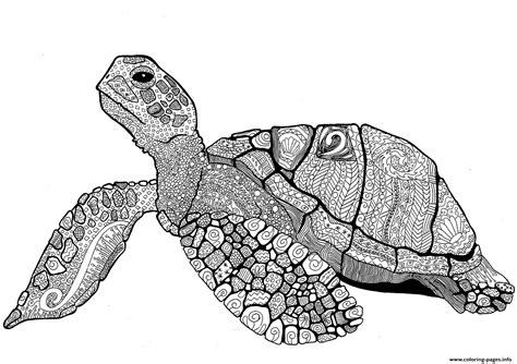 zentangle turtle adults coloring page printable