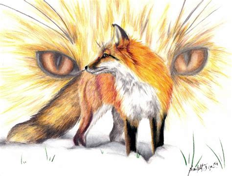 pencil drawings  foxes images pictures becuo