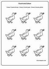 Ducks Worksheet Count Colour Worksheets Color Colors Activity sketch template