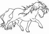 Coloring Horse Miniature Pages Pony Chromatic Creations Style Color Getcolorings Draft Gypsy Vanner Embroidery Better Thread Than Adult Book sketch template