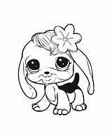 Littlest Chihuahua Lps Coloriages Letscolorit Coloringtop Worksheet Clipartmag Getcolorings sketch template