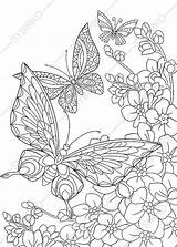 Zentangle Colouring Kolorowanki Motyle Floral Getcolorings sketch template