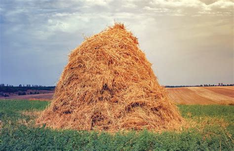 finding  needle   haystack