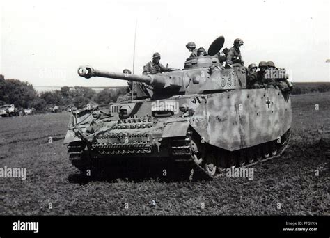 ss panzer division totenkopf vlrengbr