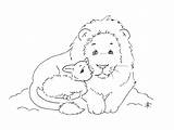 Lamb Lion Sliekje sketch template