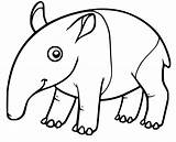 Tapir sketch template