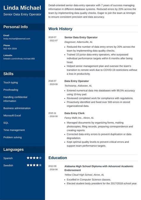 chronological resume format templates examples
