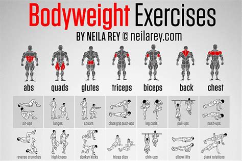 bodyweight arms  chest workout background  arm  chest workout