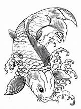 Coloring Japanese Koi Pages Fish Drawing Color Lantern Printable Colouring Adults Drawings Japan Psychedelic Getcolorings Gif Print Kids Library Getdrawings sketch template
