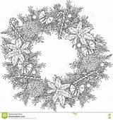 Coloring Christmas Wreath Pages Dreamstime Leaves sketch template