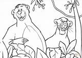 Baloo Jungle Book Mowgli Pages Bagheera Disegni Coloring Colorare Da Printable Color Colouring Disney Di Drawings Supercoloring Books Illustration Sheets sketch template