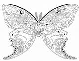 Coloring Moth Pages Luna Coccia Sue Printable Butterfly Blank Google Adults Adult Getcolorings раскраски Mandala Pattern Malen Color животными источник sketch template