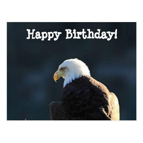 lone bald eagle happy birthday postcard zazzle