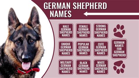German Male Names – Telegraph
