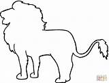 Lion Draw Outline Animal Animals Simple Easy Cute Drawings Coloring African Silhouette Choose Board Supercoloring Mammals Sketches Looking Pages sketch template