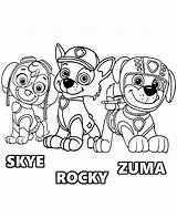 Patrol Paw Zuma Coloring Rocky Skye Print Pups sketch template